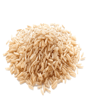 ARROZ